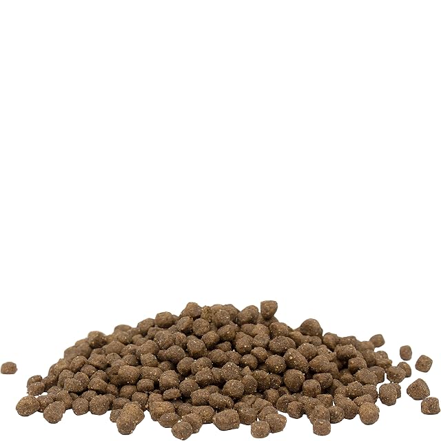 Foto 3 de 7 de VERSELE LAGA - Pienso para Gatitos OPTI Life Kitten - Alimento para Gatitos sin Cereales - Pollo - 2,5kg