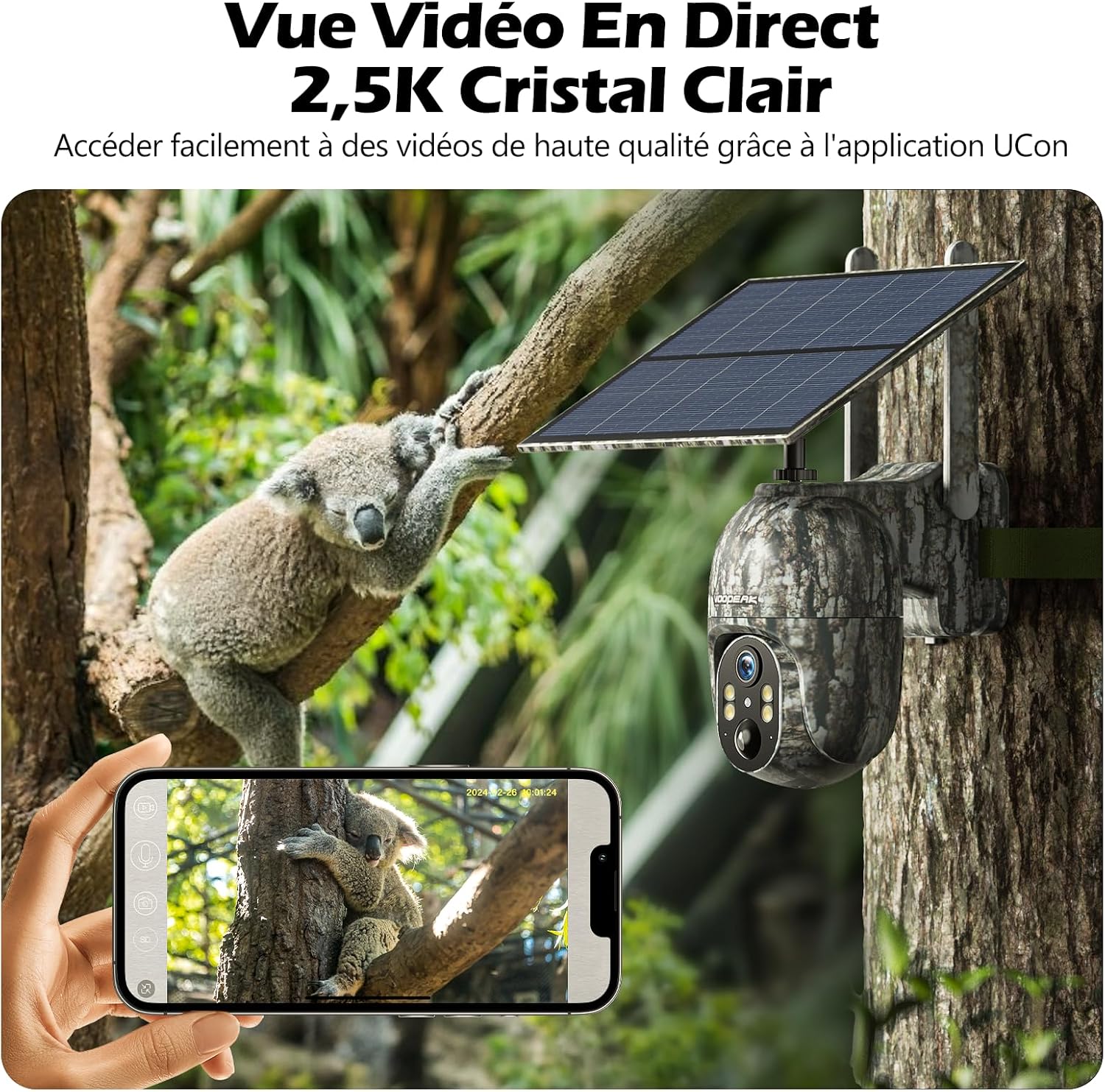 VOOPEAK 4G Solar Trail Camera mounted on a tree, with a koala, showing a smartphone displaying a 2.5K crystal clear live video feed.