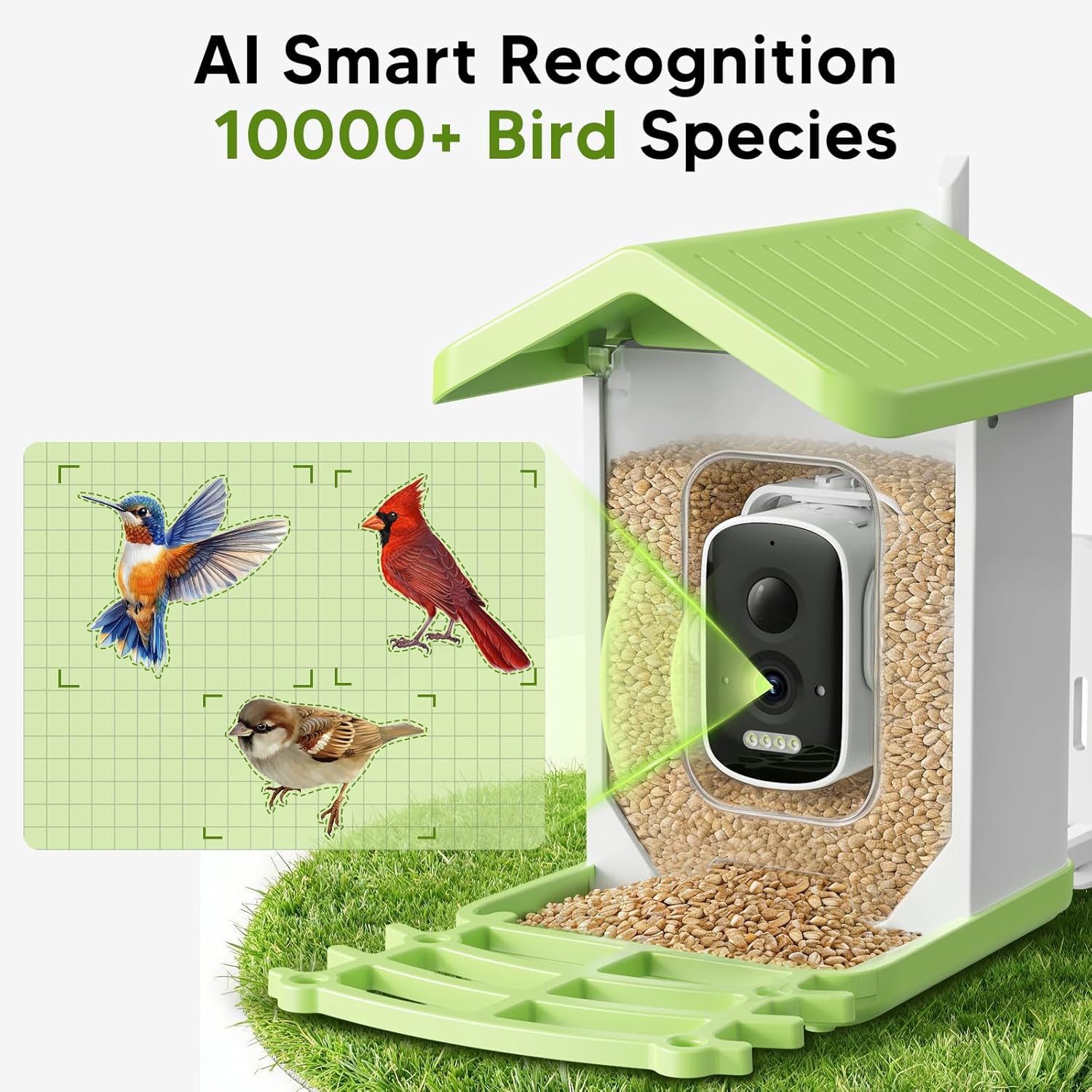 Billber Smart Bird Feeder with Camera - Solar Powered & Night Vision, 2K HD Real-Time View & Instant Alerts, Waterproof Outdoor Hummingbird Feeder, for Bird Watching Enthusiasts