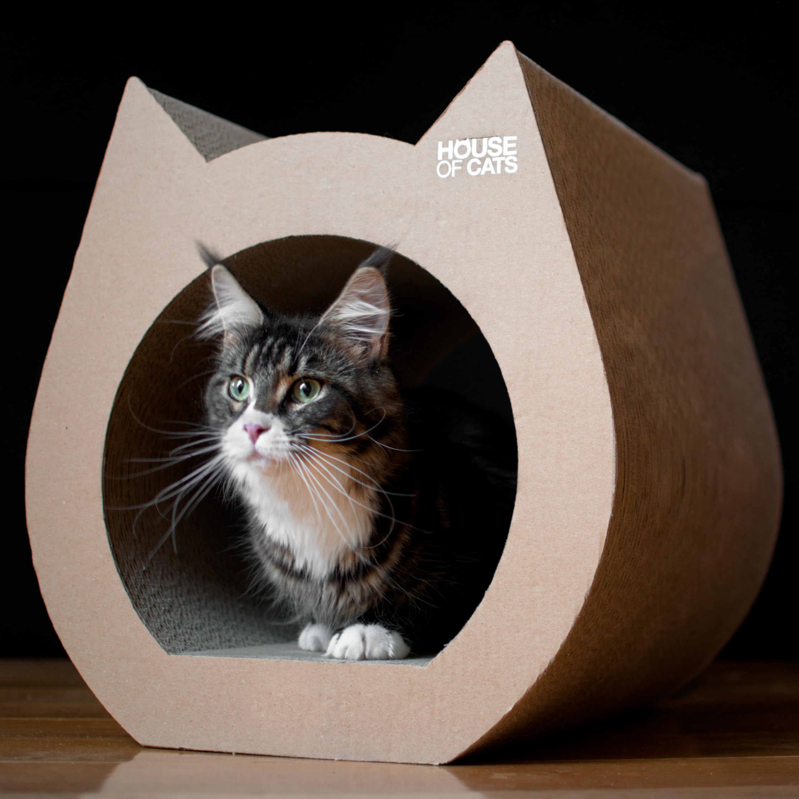 House of Cats - Rascador para Gatos - Rascador para Gatos para Juego y Relajación - Materiales Duraderos y Resistentes - Descanso para tu Gato - Gato Natural - 40x42x42cm