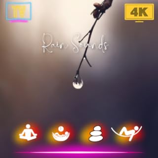 Rainstorm Sounds ☔️ for Sleeping, Relaxing, Focus or Deep Sleep Nature White Noise - Rainfall Sounds For TV - NO ADS