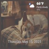 リラックスできる音楽付きの犬用テレビ - 時計とライブ天気予報でペットの不安を軽減