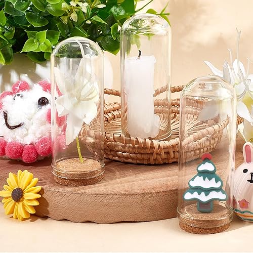 Miniatura 4 de CRASPIRE Cúpula Cloche de cristal con base de corcho de 2.8 pulgadas, mini exhibición, frasco, cubierta de soporte, funda de terrario decorativa