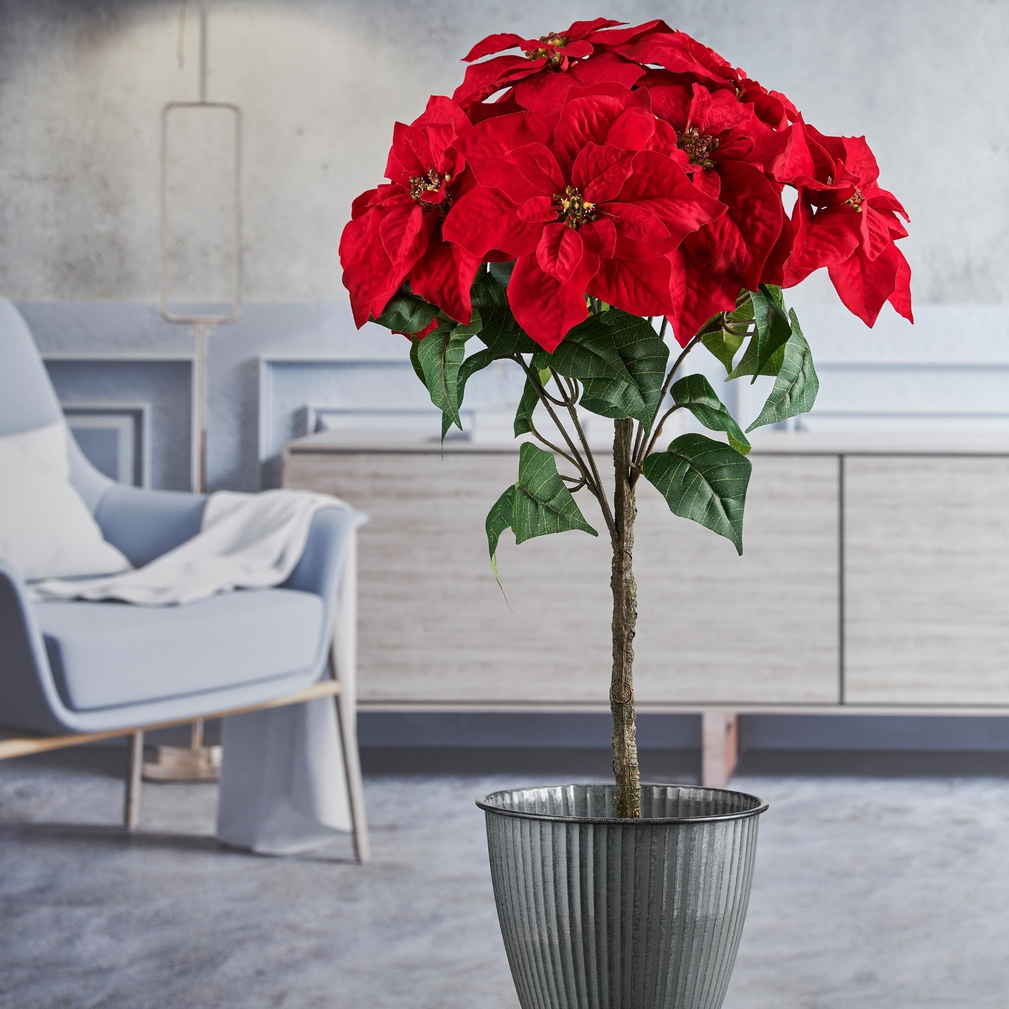 hortensien zimmerpflanze pflege Bauern-Hortensie „Hugo“ – Gartenhortensie in Gärtnerqualität kaufen main image 0