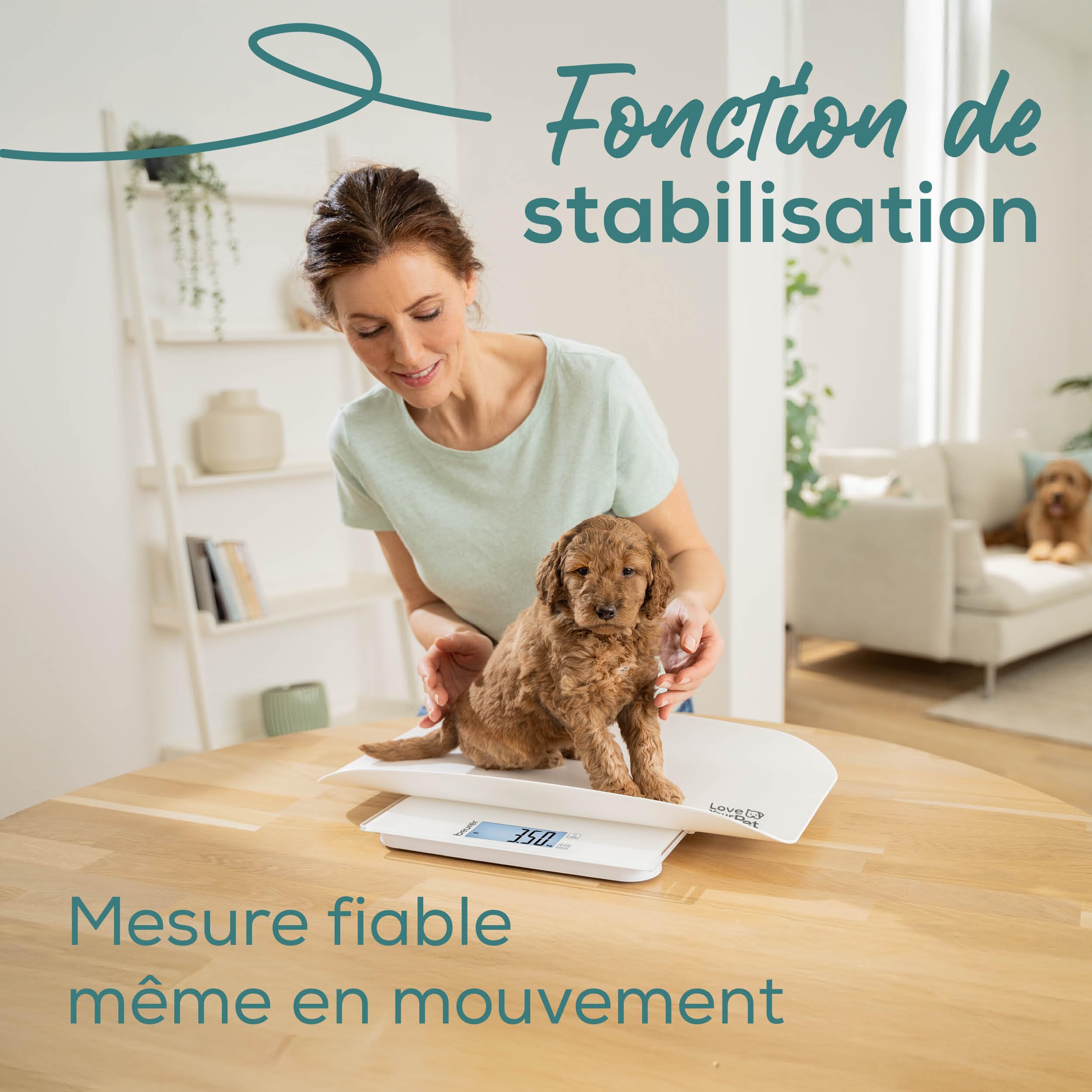 Beurer Love Your Pet Balance « Polly » pour animaux domestiques et humains, avec plateau de pesée amovible, pèse-chiot à partir de 100 g, pour petits animaux, fonction Hold, 180 kg