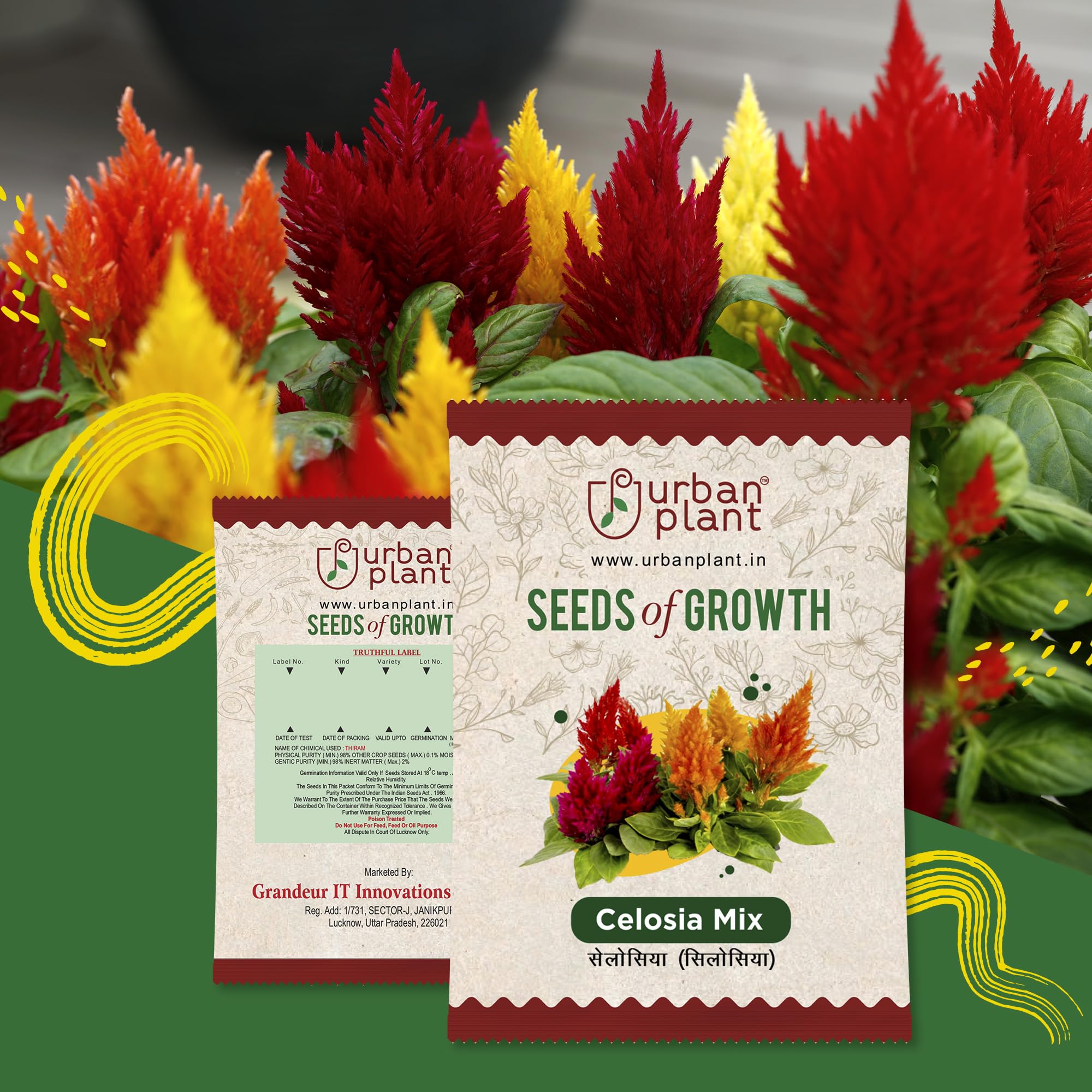 Urban Plant Flower Seeds for Garden | Fresh Healthy Seeds | High Germination Rate (Balsam Mix) (B0CCP7W96X) Amazon Price History, Amazon Price Tracker