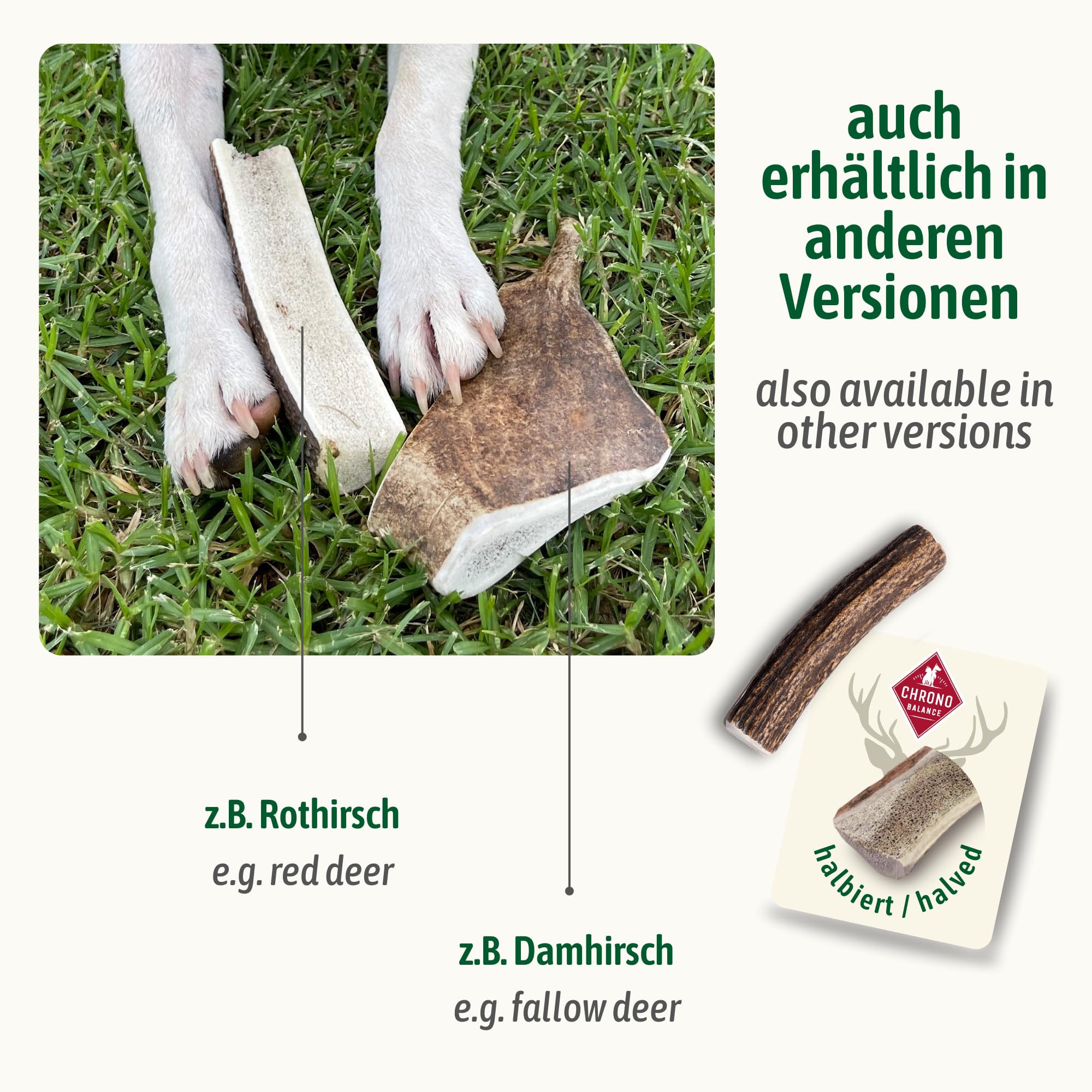 ChronoBalance® XXL (zestaw 5) może być stosowany do żucia psa, dimezzato di cerevo, naturalnego giocattolo do utwardzania zębów, w 100% stabilny, bardzo trwały środek chemiczny