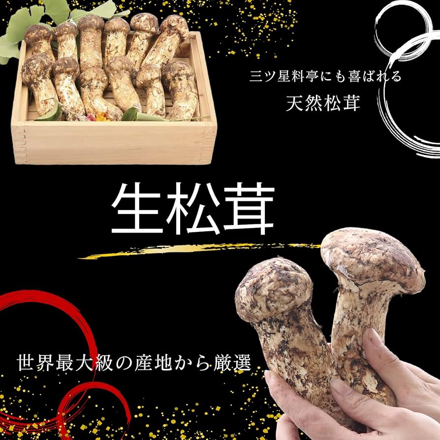 Amazon | Monoevo 松茸 1KG マツタケ 詰め合わせ 直輸入まつたけ