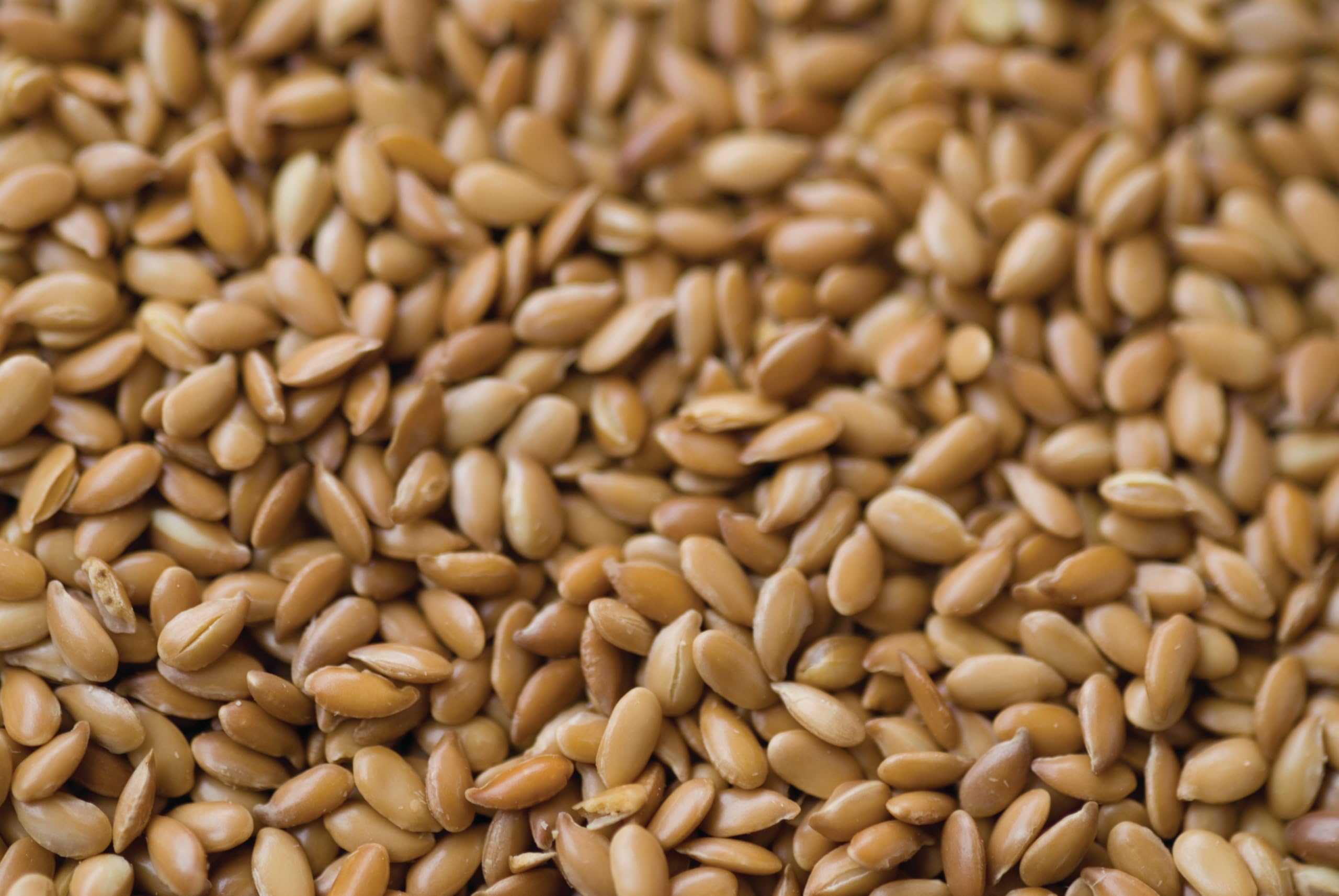 Ingredíssimo - Semillas Lino Dorado Enteras 1kg | Máxima Fuente de Omega 3 y Fibra | Vegano, Sin Gluten, Keto