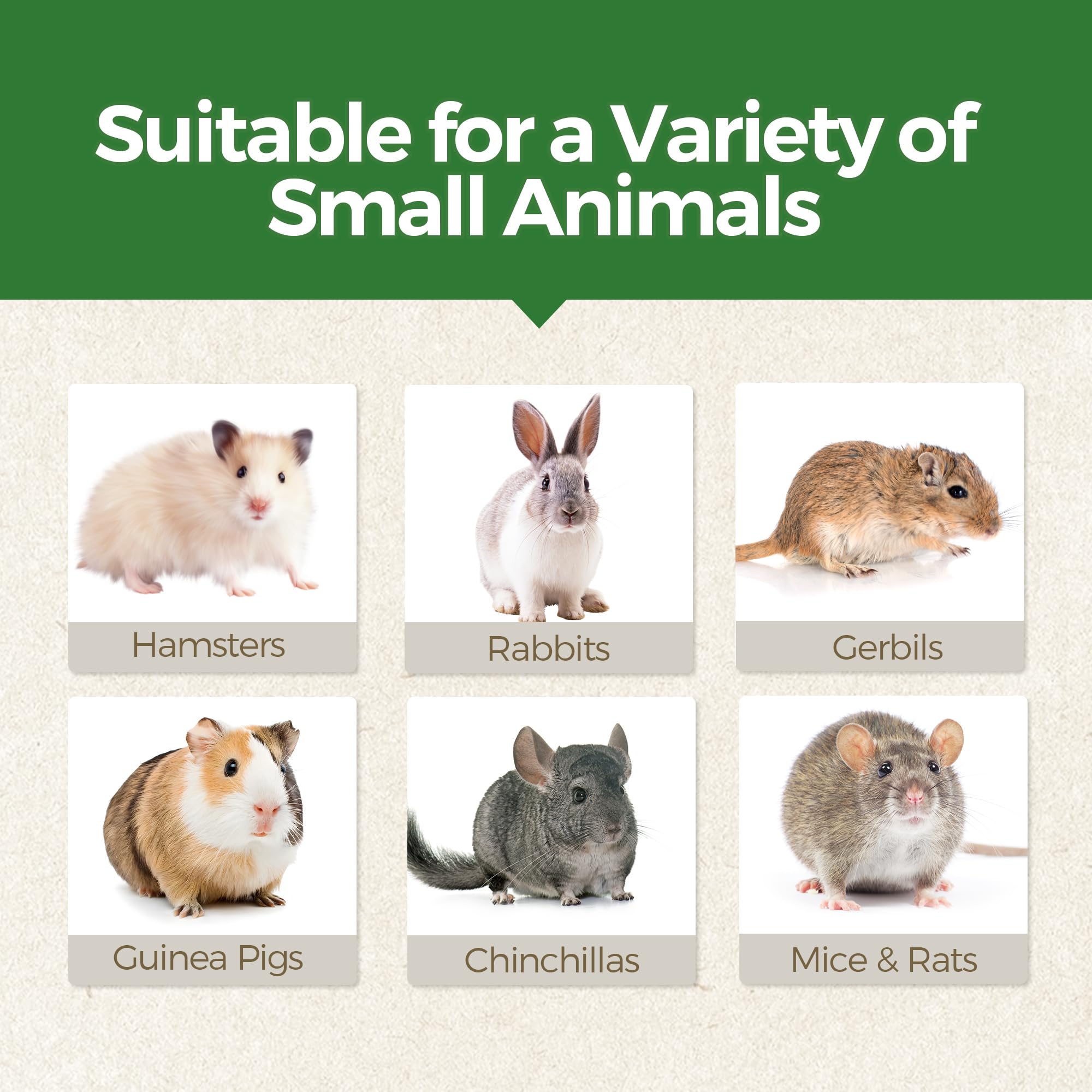 TEEWY Lot de 6 jouets à mâcher en forme de feuille pour hamster, cochon d'Inde naturel pour grincer les dents, chinchilla à mâcher pour gerbille, rat et hamster