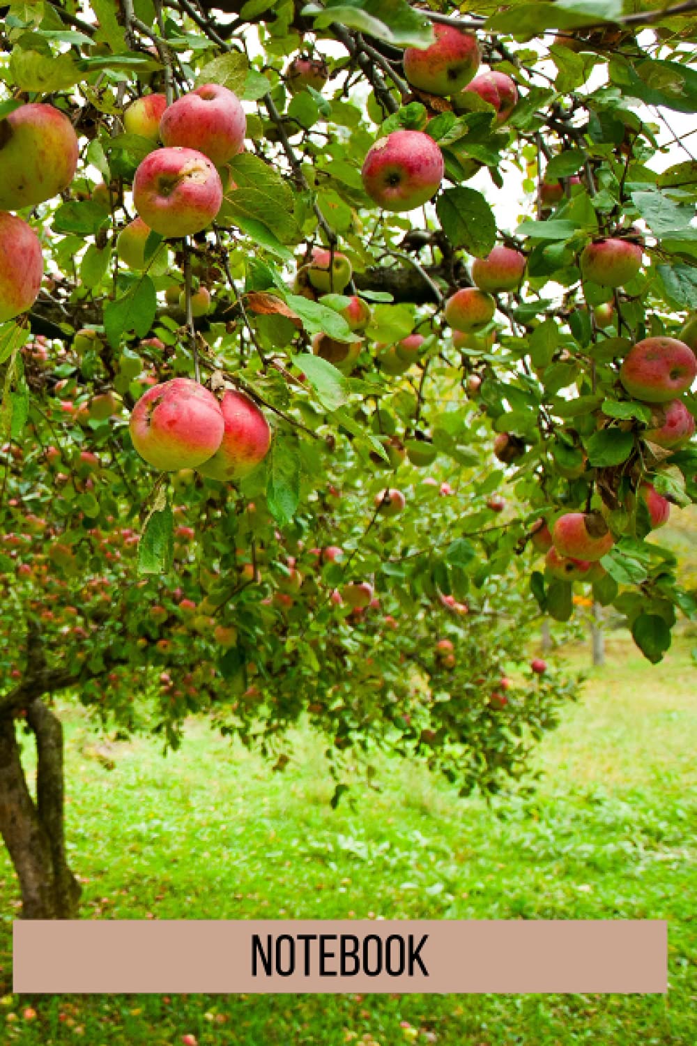 Apple Tree Notebook: blank lined composition journal | Apple Tree notebook | 100 pages