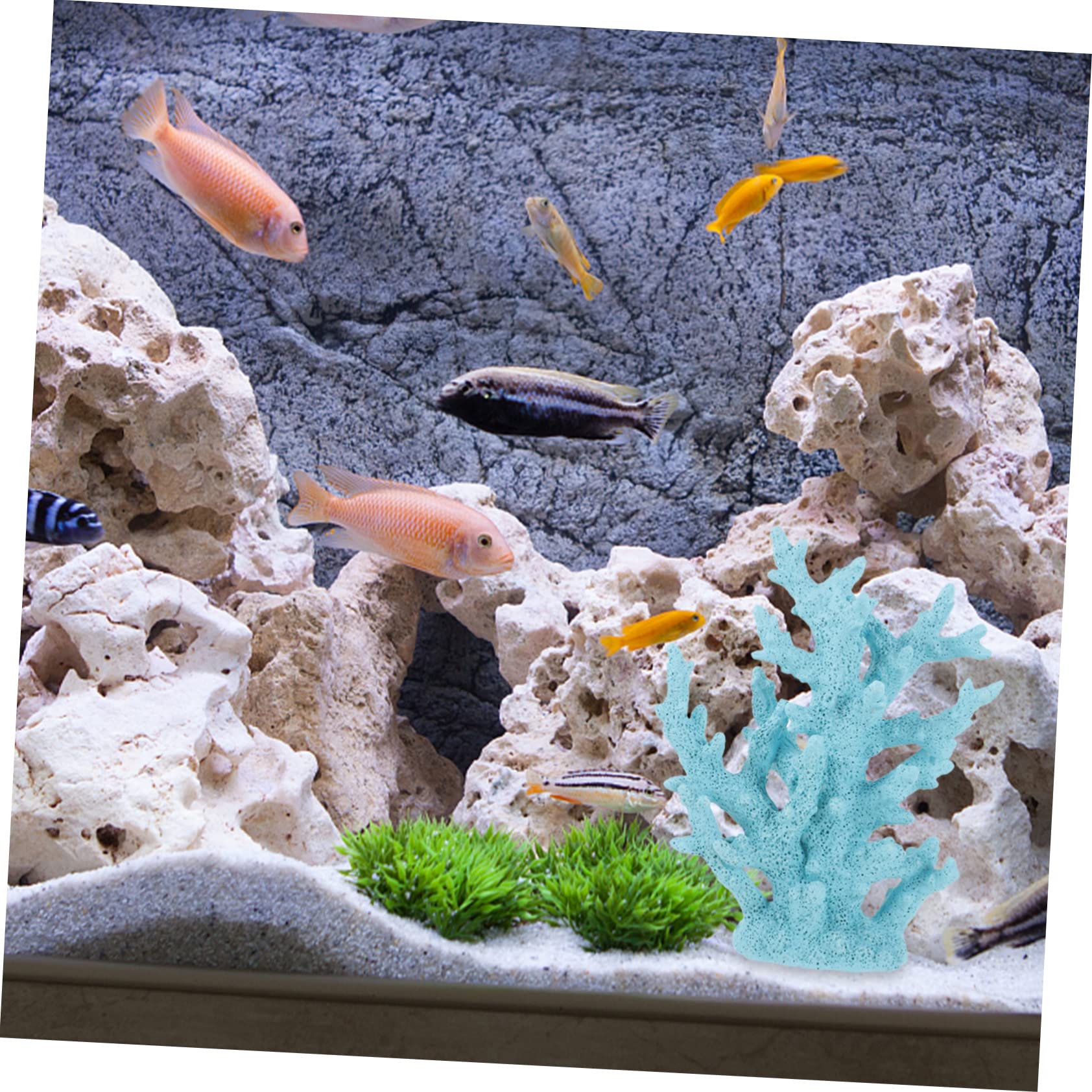 Mikikit Künstliche Korallen-dekoration Für Aquarien Blaues Korallenornament Aus Widerstandsfähigem Resin Leicht Und Pflegeleicht Perfekter Blickfang Für Jedes Fischbecken Für