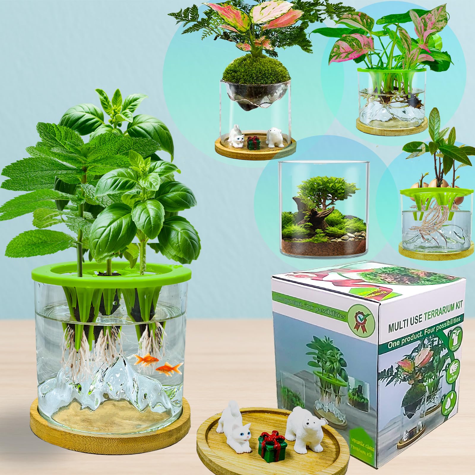 Amazon.com: E SUPEREGROW Plant Terrarium Kit with Grow Light