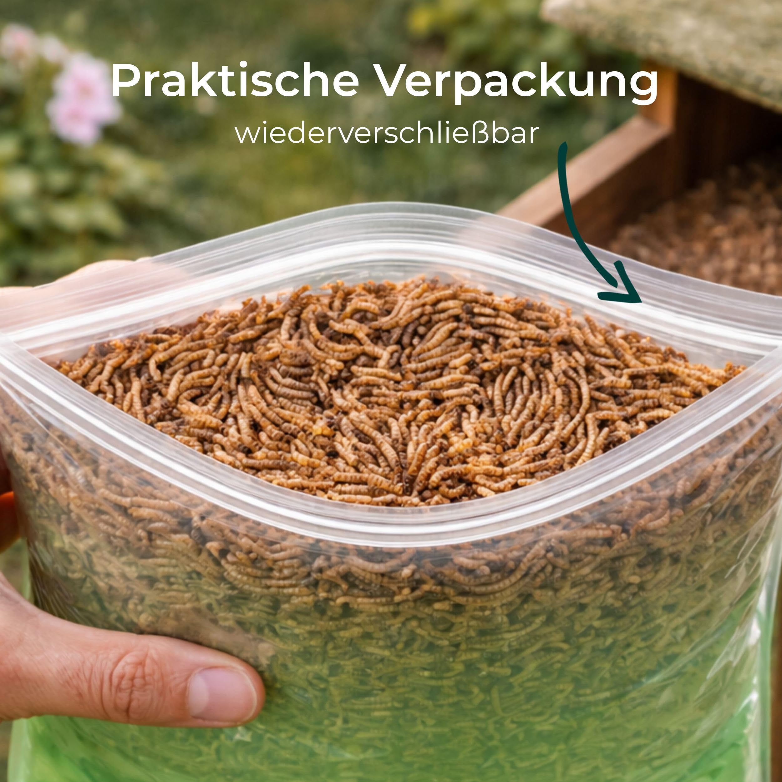Blumixx Mehlwürmer getrocknet 2kg - Vogelfutter mit hohem Proteingehalt - ideal für Wildvögel, Hühner, Igel, Fische & Reptilien - Ganzjahresfutter für Garten, Terasse, Vogelhaus