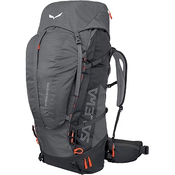 Salewa Alptrek 65+10 L Professional Backpack
