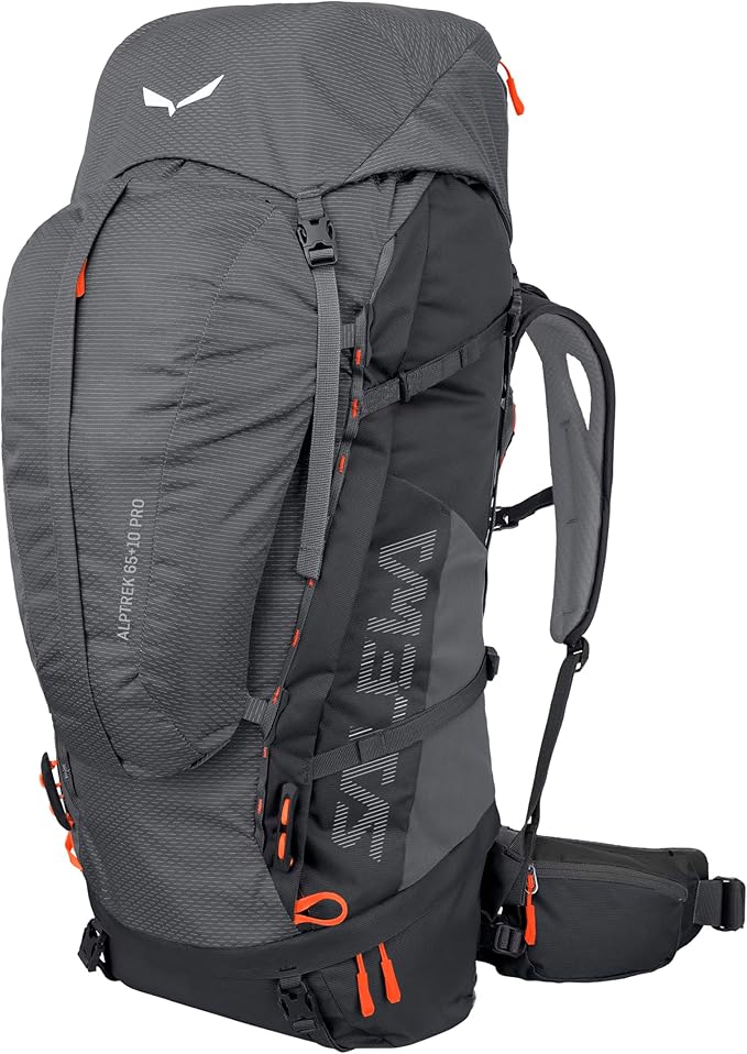 SALEWA ALPTREK 65 +10 PRO BP