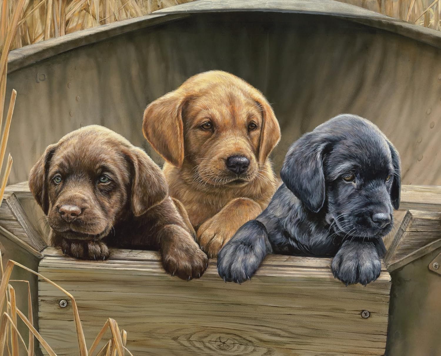 Labrador Lab Pups in The Wheat Field Cotton Fabric Panel Size 36 X 44 Inches David Textiles WW 3111. The Fabric is 44 inches Wide and 36 inches Tall.