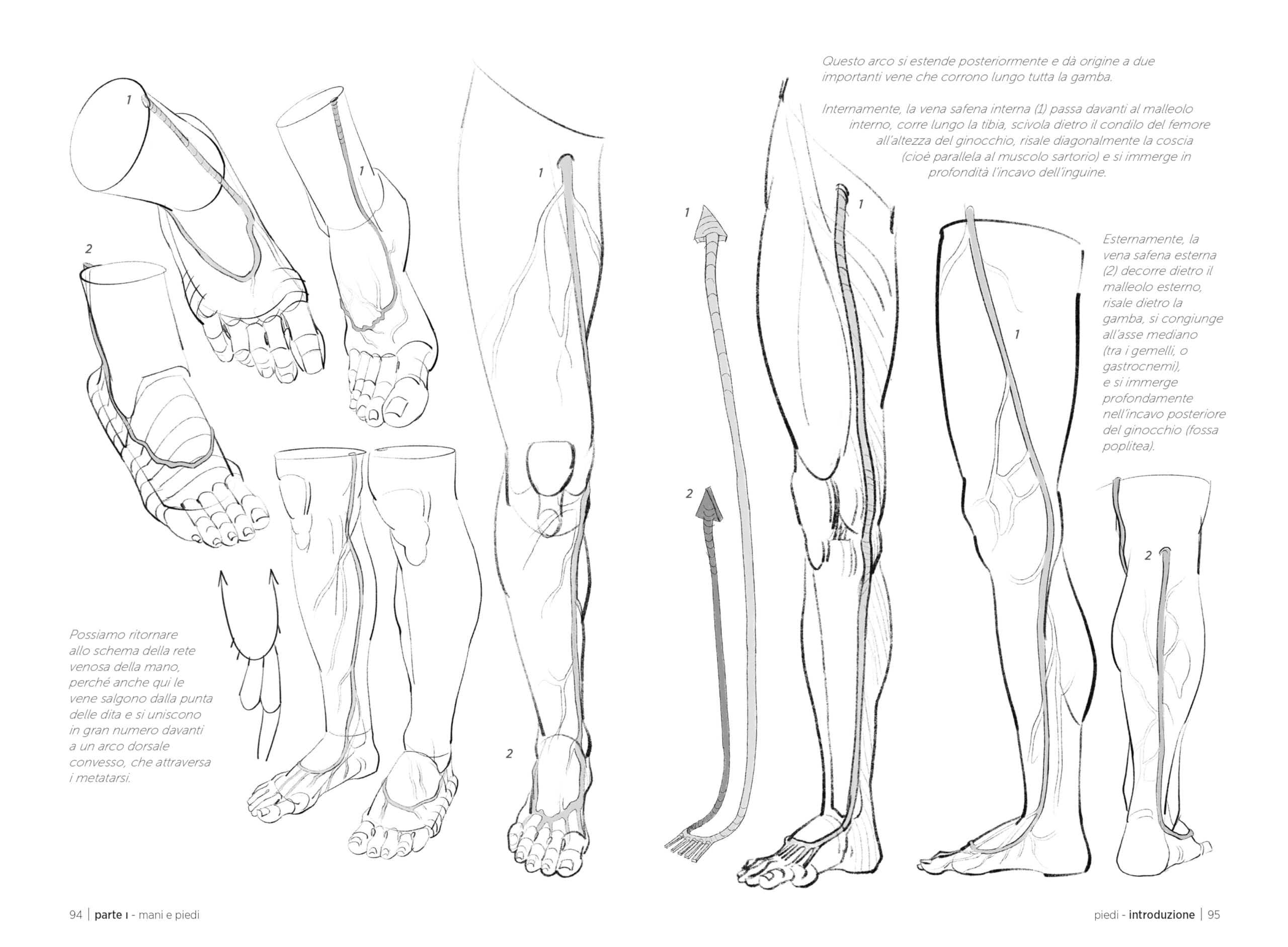 Anatomia artistica. Mani, piedi, testa e collo (Vol. 3)