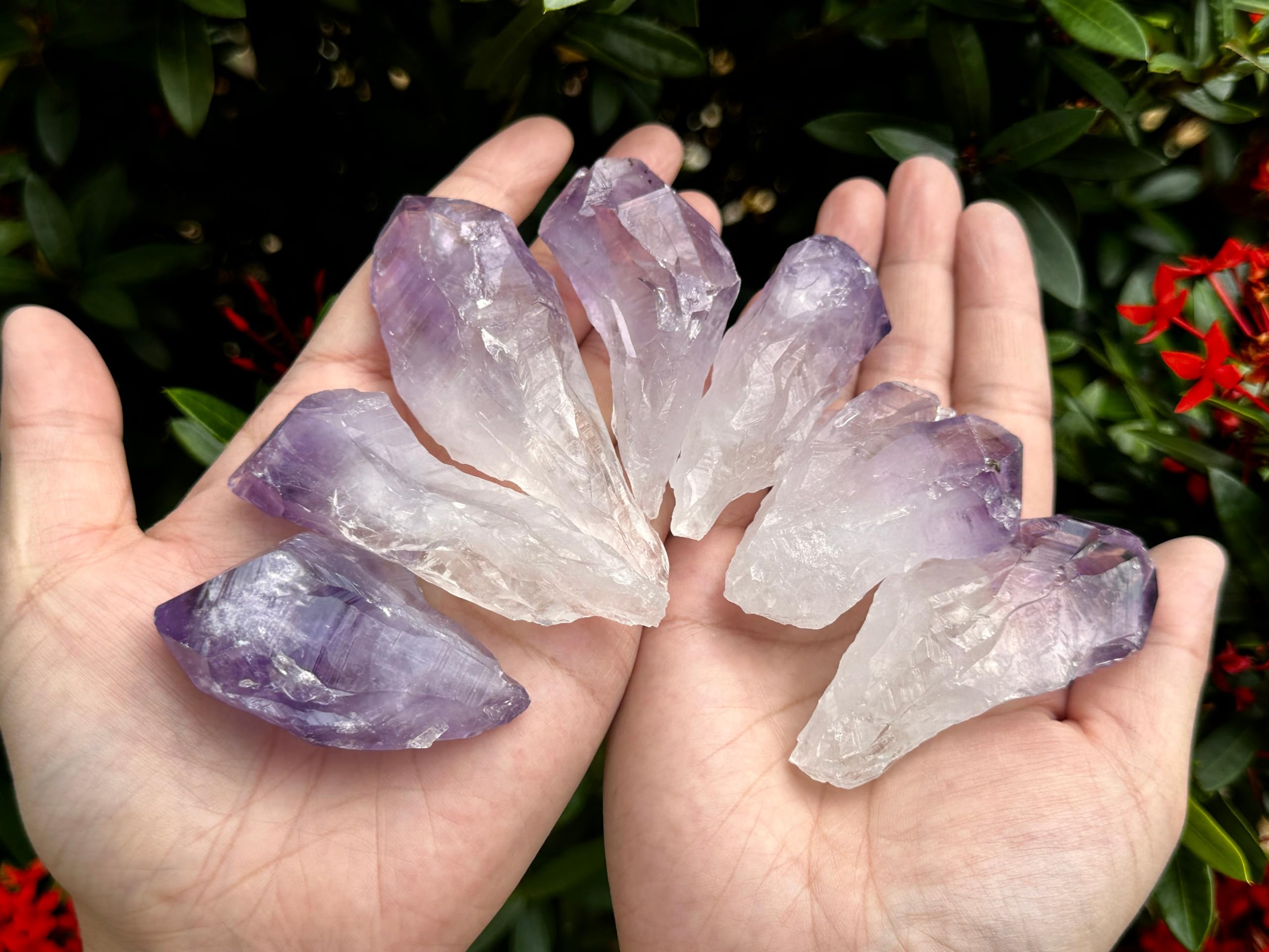 Amazon.co.jp: GAF TREASURES 卸売アメジストポイント、2-3インチ 天然