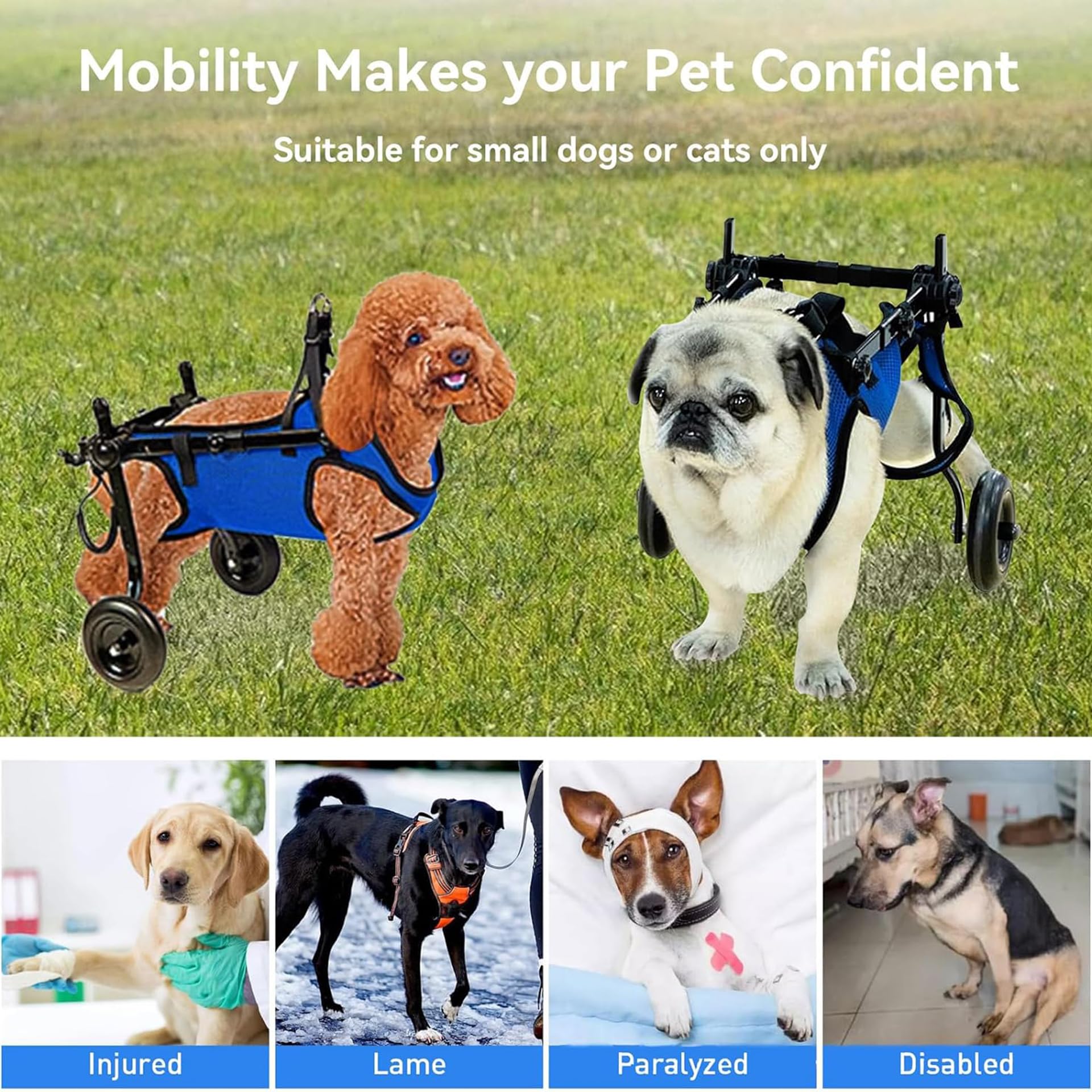 YIHANGG Silla de Ruedas para Patas Traseras para Perros Ajustable Soporte para Patas y Cadera para Perros Ayuda a Mascotas con Parálisis en Las Extremidades Traseras a Recuperar su Movilidad(Size:M)