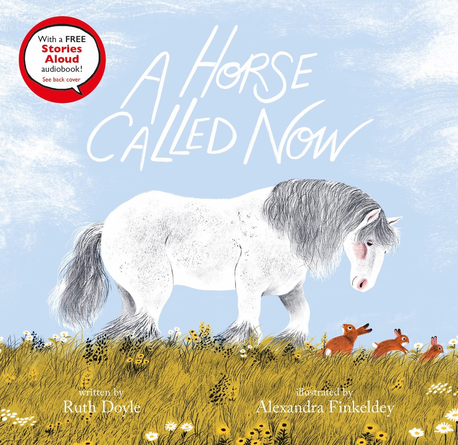Ruth Doyle A Horse Called Now Paperback Book