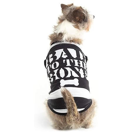 bad to the bone dog sweater
