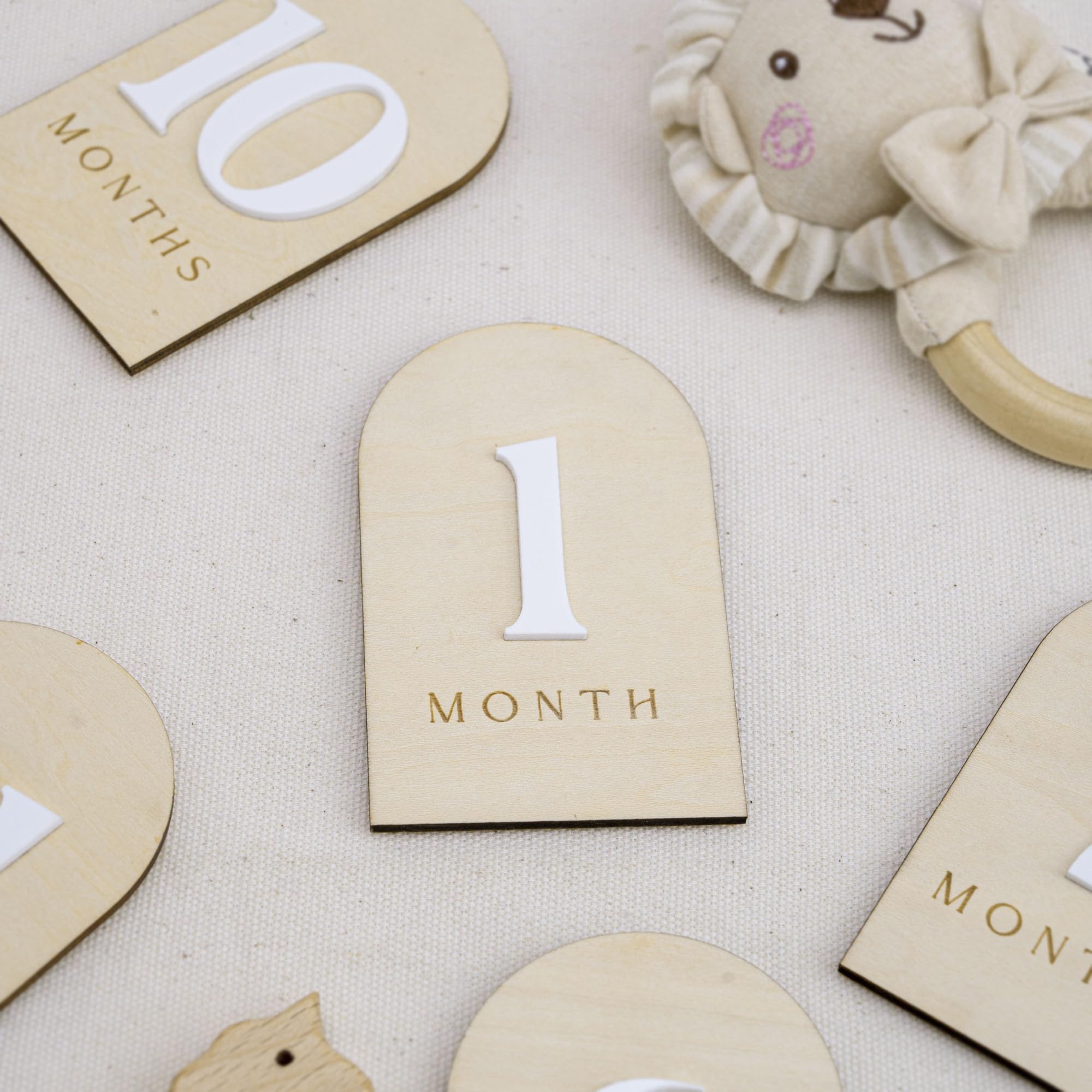Baby Monthly Milestone Photo Sign, Wooden Floral Design with Pink Bows, Baby Girl Growth Tracker, 1-12 Months (Arch)