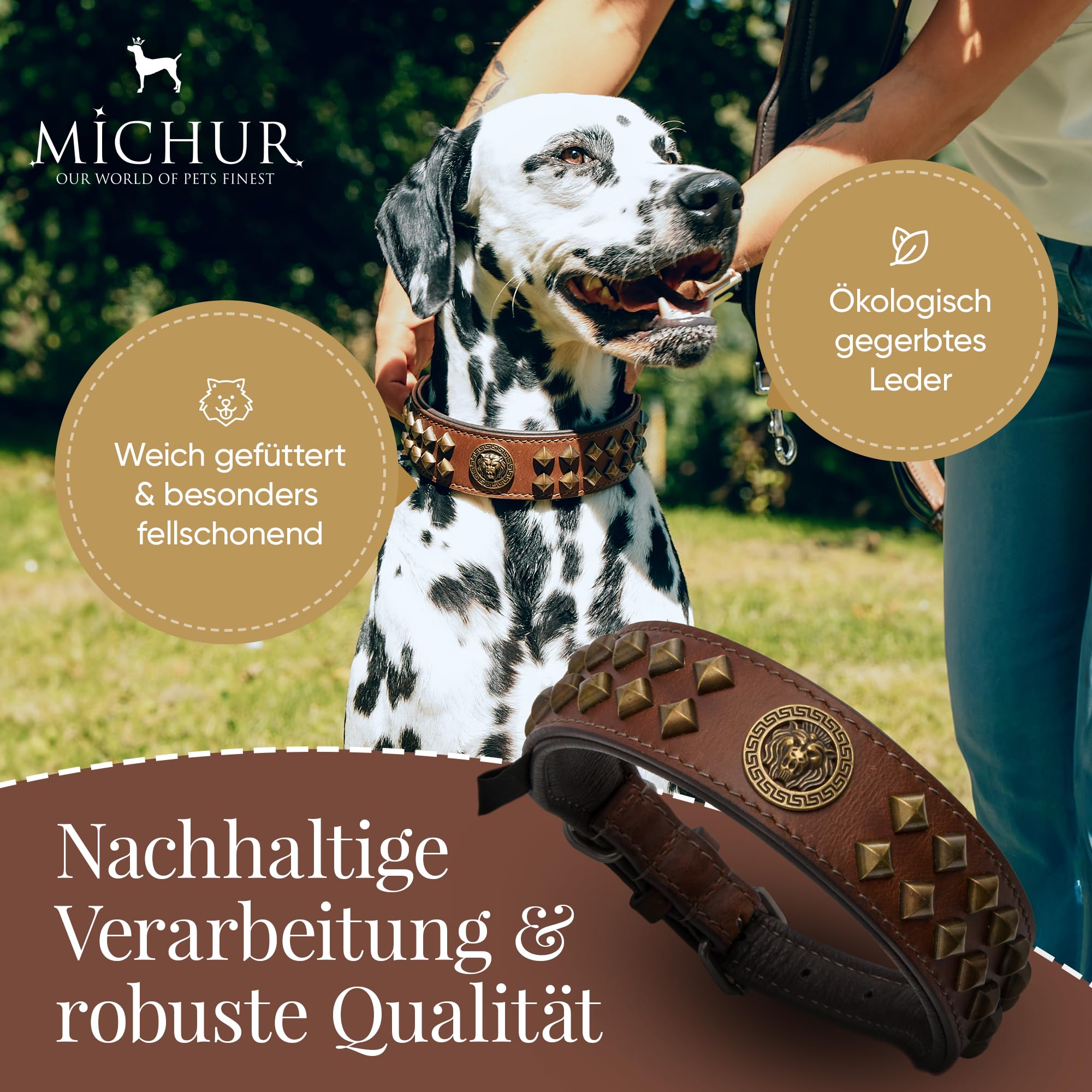 MICHUR Diego Marron Collier pour Chien Collier en Cuir Collier pour Chien Cuir avec Application tête de Lion Rivets Plats en Laiton Aklt Aspect Brun Or Disponible en différentes Tailles