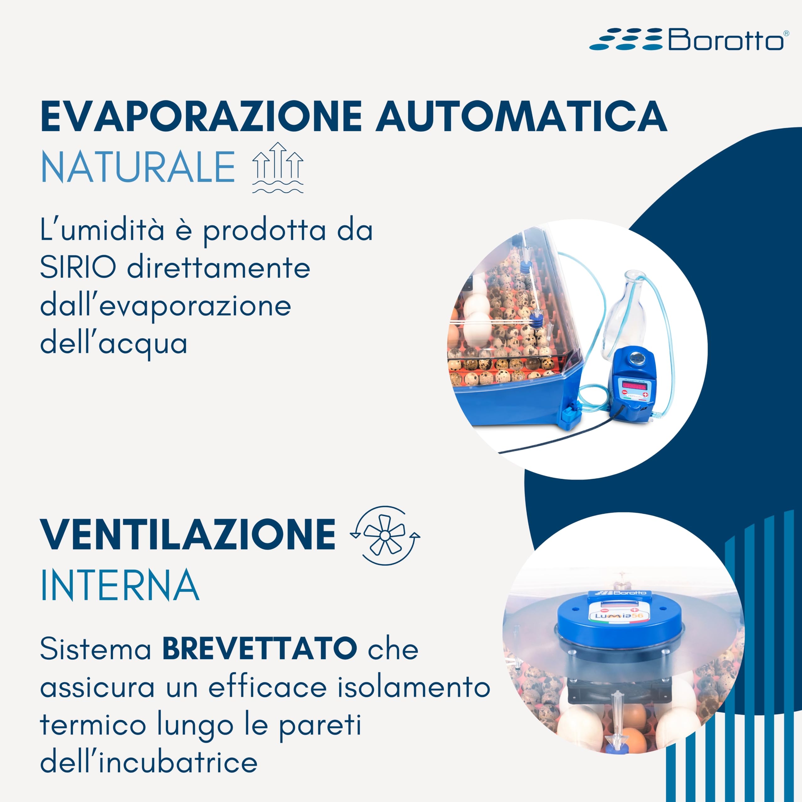 Borotto Lumia Expert | Incubatrice per Uova Automatica con Girauova Automatico, Controllo Temperatura e Umidificatore Automatico Sirio | Made in Italy (56)