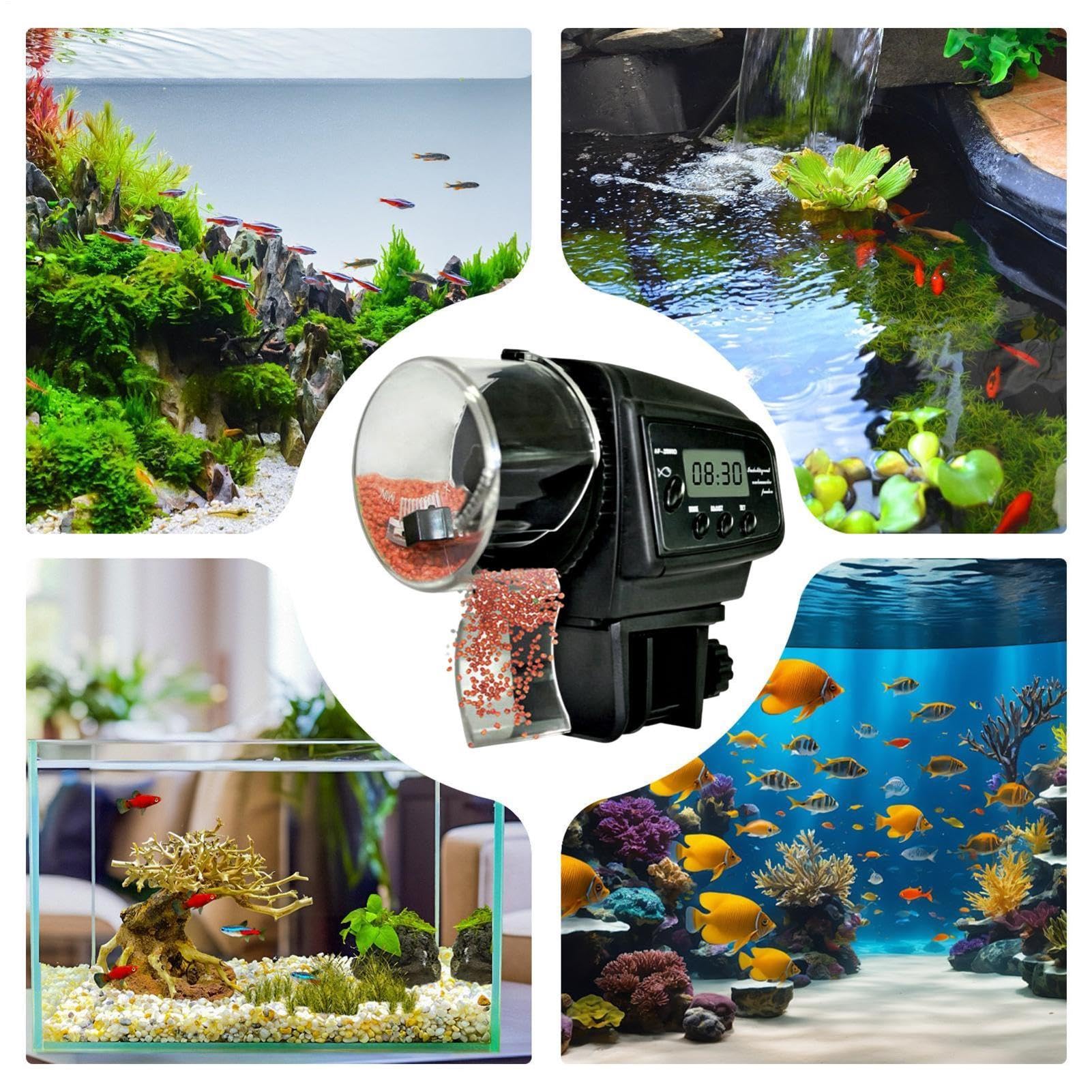 Alimentador automático de acuario – Temporizador de alimentos a batería de
