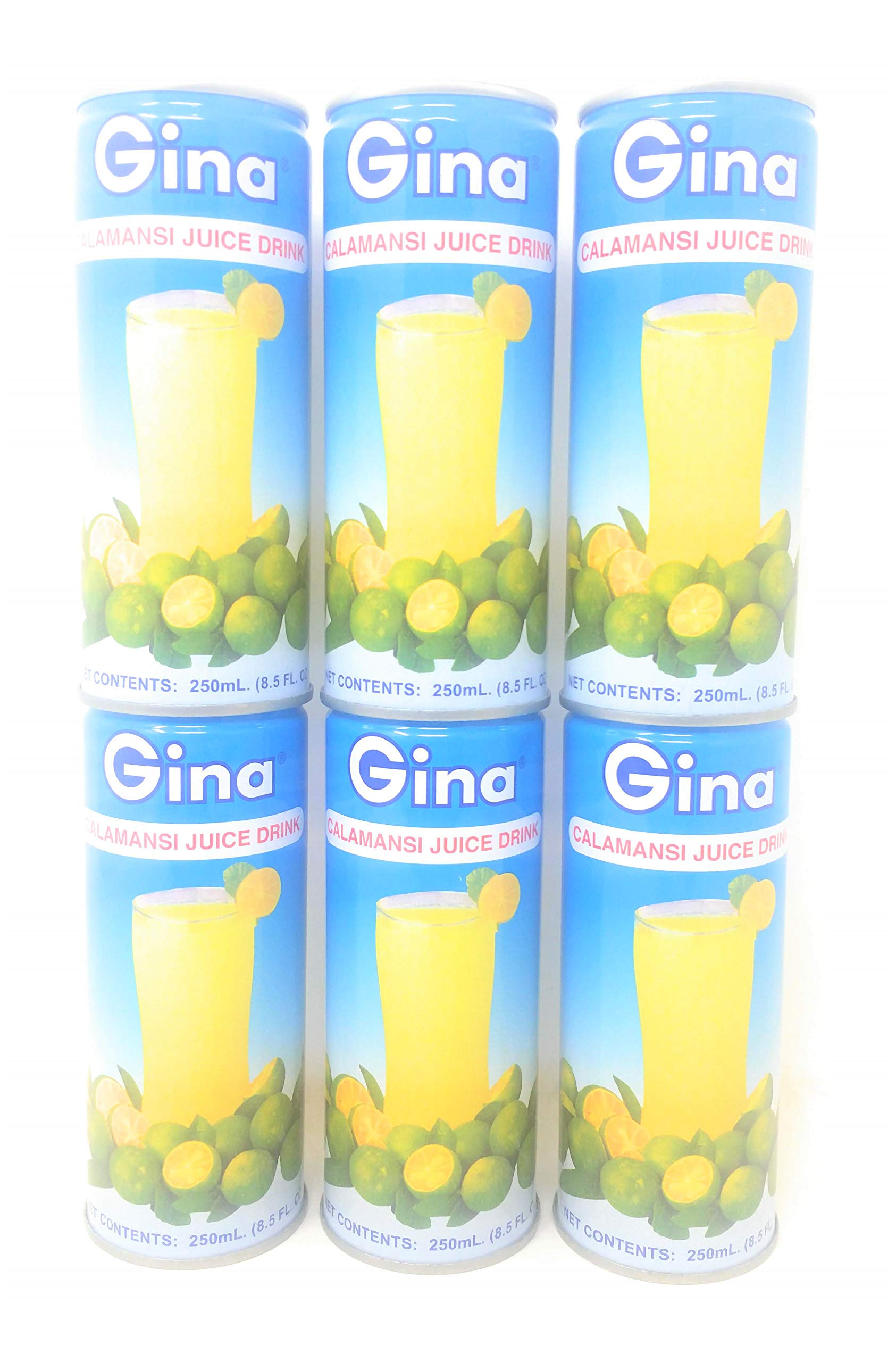 Gina Calamansi Juice Drink 250mL, 6 Pack