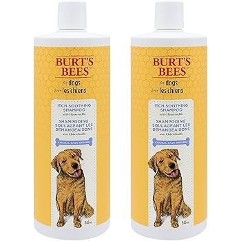 is honeysuckle bad for dogs