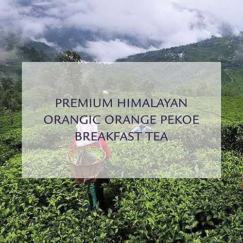 Miniatura 5 de Birdsong Rufous Pekoe - Té orgánico de Pekoe naranja de las Indias Orientales con malta, especias y notas de madera, té negro con cafeína dulce 100%