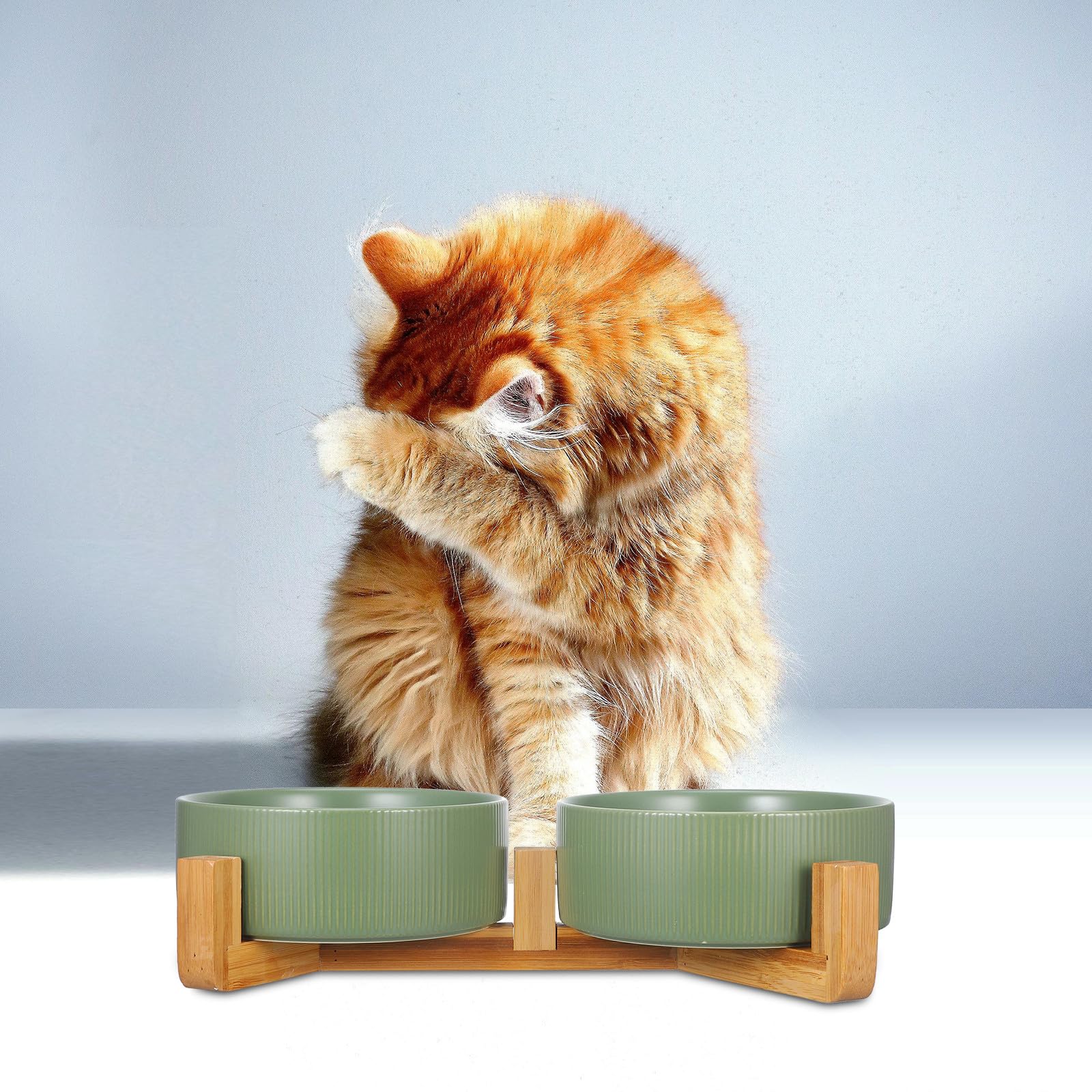 Ciotole per Cani Rialzate in Ceramica con Supporto in Legno, Doppia Ciotola Rotonda, Anti-ribaltamento, per Cibo e Acqua, Uso Domestico, per Cani e Gatti