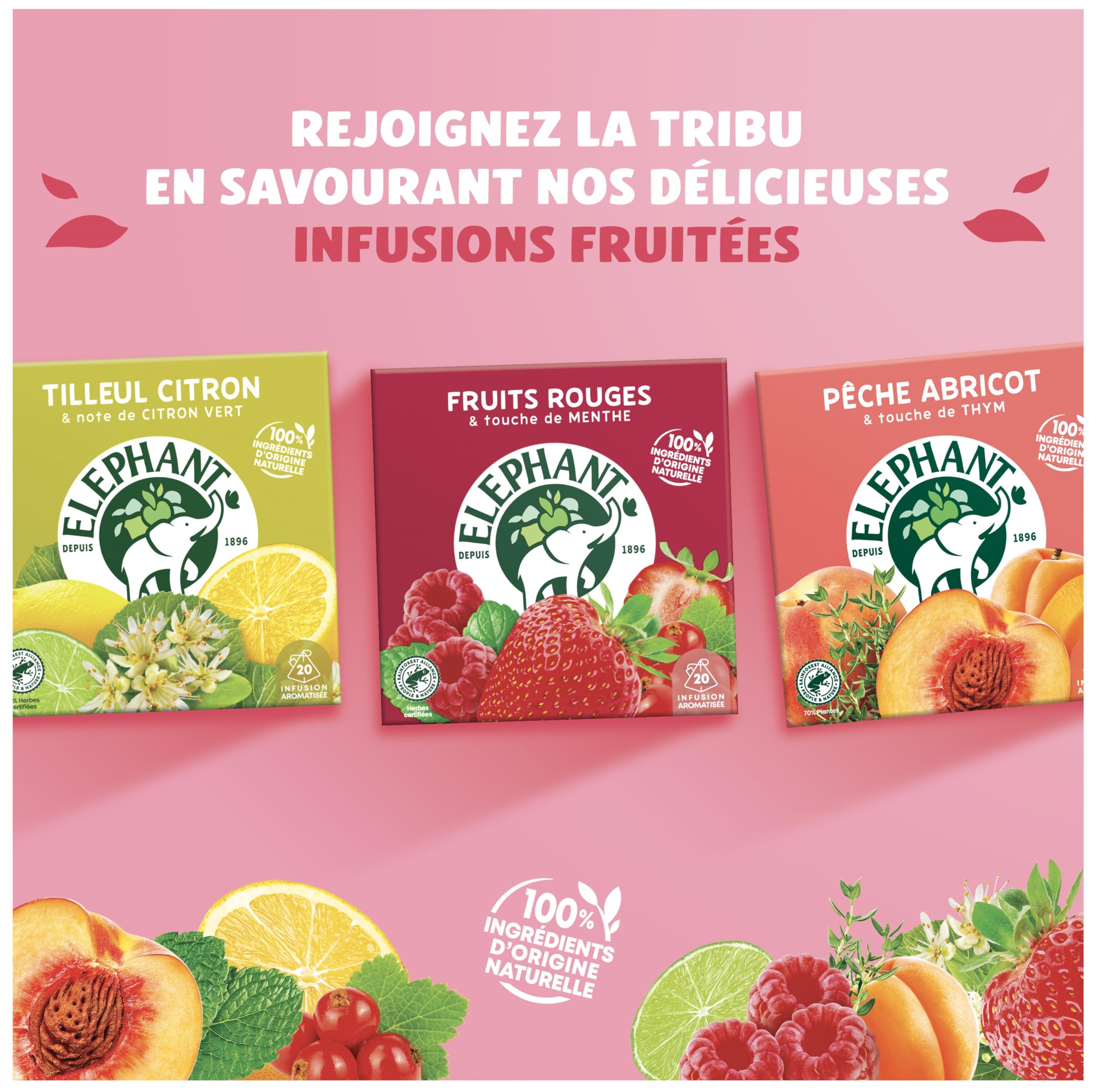 Elephant Elephant, Flavored Infusion, Blueberry Blackcurrant & Vanilla Taste, Rainforest Alliance Certified, 100% Natural Origin Ingredients, 20 Pyramid Sachets in use