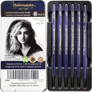 ThePortraitArt Artist Woodless Pure Charcoal Pencils - Ultra Soft and Dark – 6pc Set Equivalent to 25+ Regular Pencils – S...
