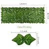 Product Photo 2