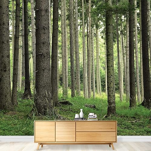 Miniatura 8 de KOMNNI Custom Ceiling Peel and Stick Wall Mural Blue Sky White Cloud Ceiling Sticker 3D Sky Ceiling Wallpaper for Bedroom Living Room Lobby Home