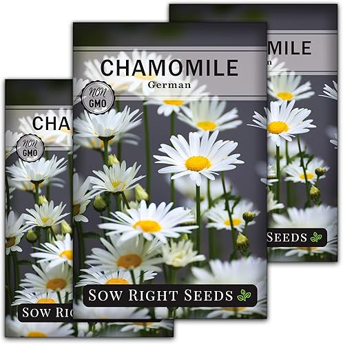 Sow Right Seeds - Semillas de manzanilla alemana para plantar - Paquete de reliquia sin OMG con instrucciones para cultivar té de hierbas - Flor