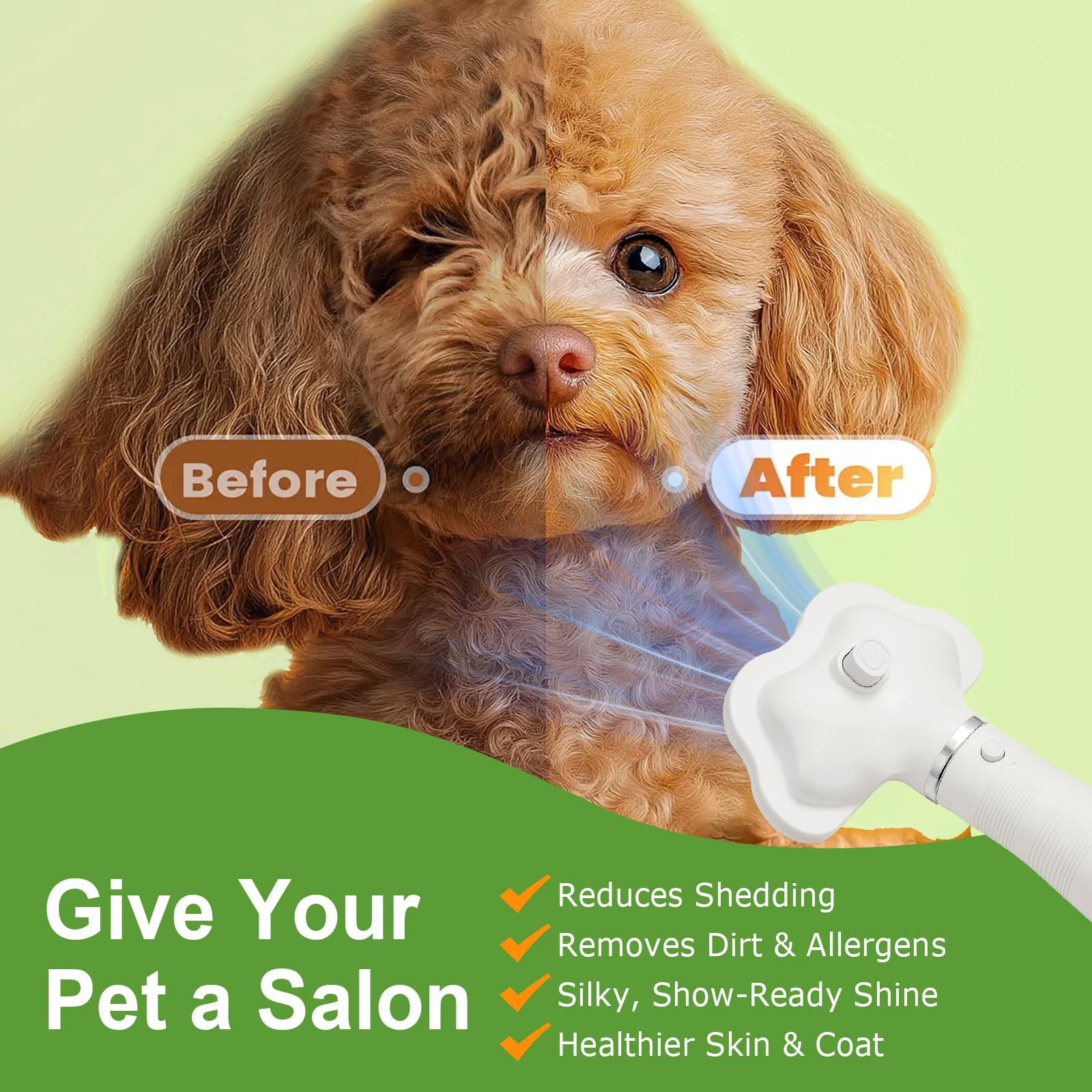 Spazzola professionale per la toelettatura degli animali domestici, 3 in 1, asciugacapelli, con spazzola per capelli, temperatura regolabile, sicura per surriscaldamento, qualità da salone
