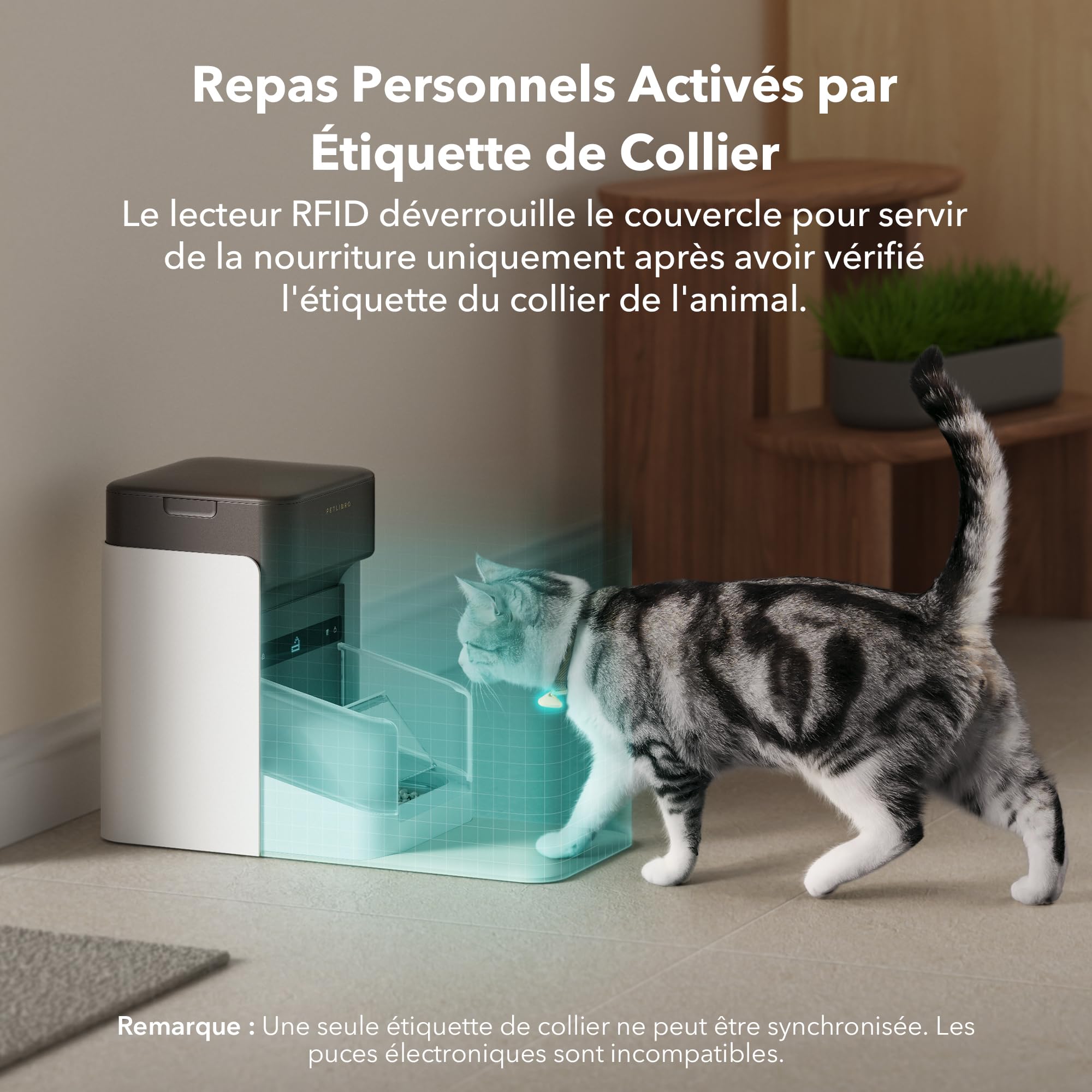 PETLIBRO Étiquette de Collier RFID, Reconnaissance d'animaux, Compatible avec PETLIBRO One RFID Distributeur de Nourriture Automatique PLAF301, Dockstream RFID Fontaine a Eau Chat PLWF305