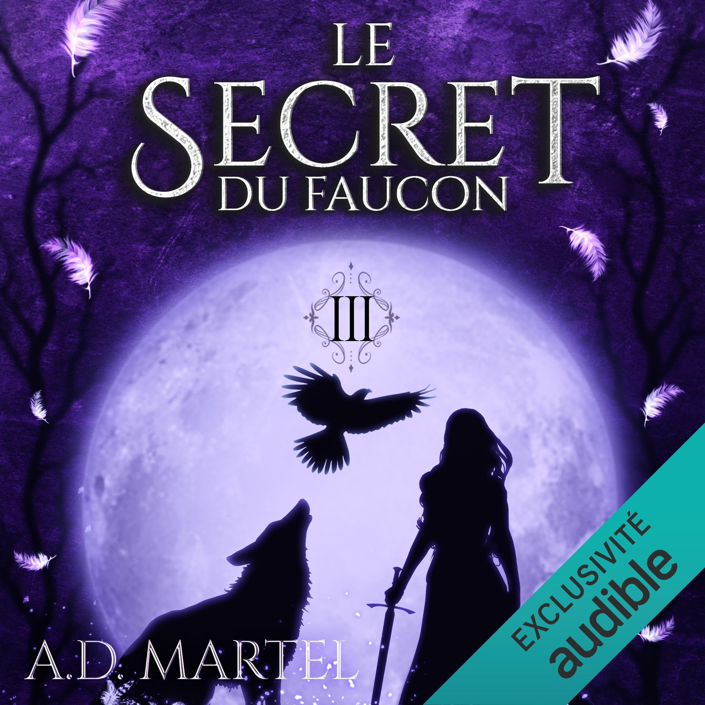 Cover art for Le secret du faucon 3