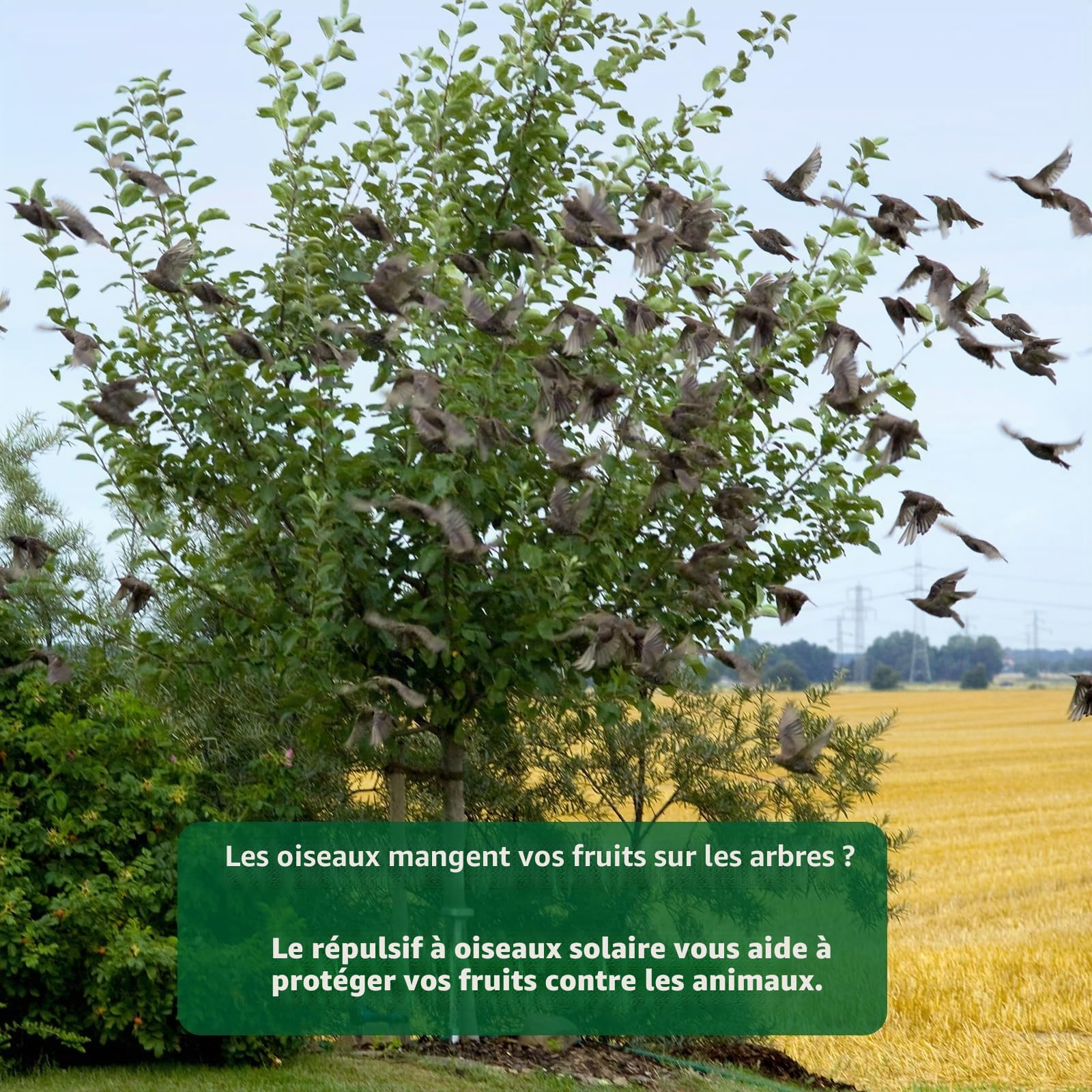 GARDIGO® Répulsif Solaire d'oiseaux à Ultrasons | Épouvantail Électronique avec Lumière Clignotante | 23-50 kHz | Portée de 110° et 7m | Effaroucheur pour Oiseaux et Pigeons pour Balcon et Jardin