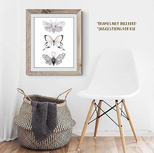 Miniatura 4 de Butterfly Wall Art - Black & White Butterflies Decor - Watercolor Art Print - 11x14  Unframed Poster
