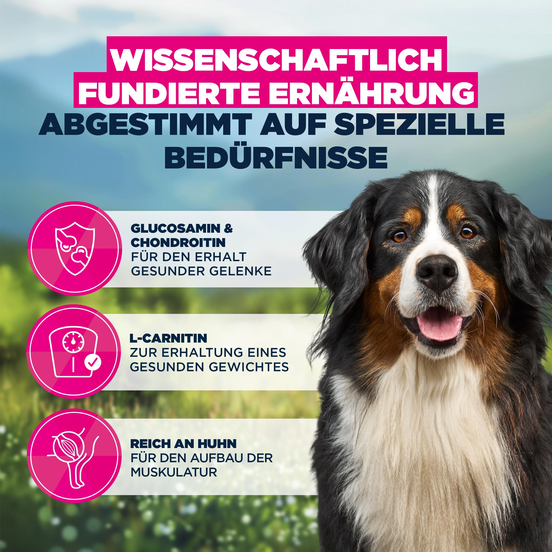 Eukanuba Sensitive Joints Hundefutter mit Huhn - Trockenfutter Special Care für Hunde mit empfindlichen Gelenken, zur Unterstüzung der Mobilität, 12 kg