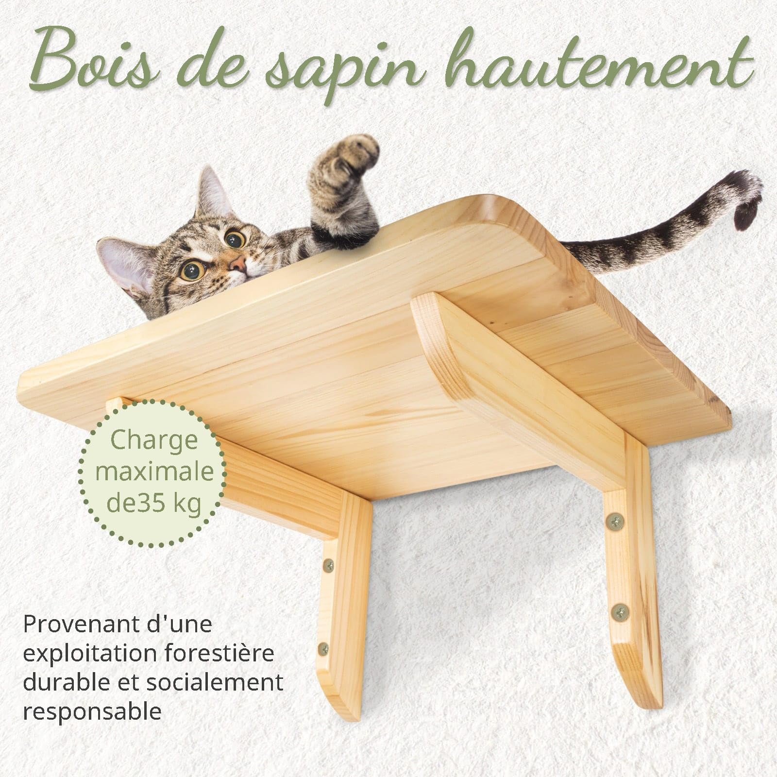 WOOWOOD® Mur d'escalade pour Chat avec 2 marches de Chat [Extra Grand et Stable] I Mur 3 pièces I Set Arbre à Chat Mural I Mur pour Chats I Chaise Longue Murale pour Chats