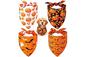 Whaline Autumn Dog Bandana: Pumpkin Print Reversible Neckwear