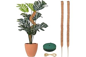EcoNour Moss Pole (2 Pack) | Elevate Indoor Garden with Plant Support Poles