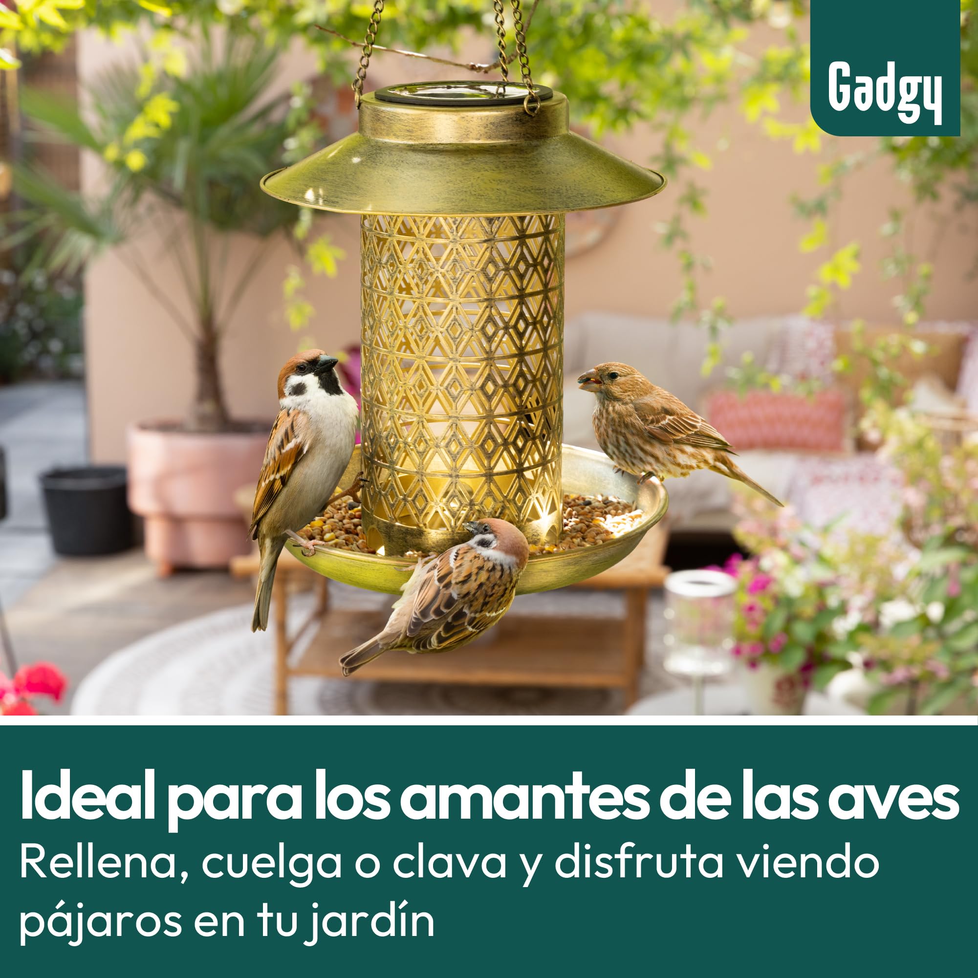 Gadgy Comedero para pájaros lámpara Solar para Exterior – Lámpara Solar para jardín y casa de pájaros – Comedero Solar Dorado – Comedero para pájaros – Decoración de jardín Resistente a la Intemperie - 2