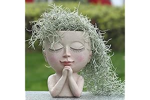 Lady Flower Pot Head